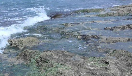Punta Braccetto