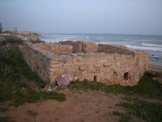 Mezzagnone